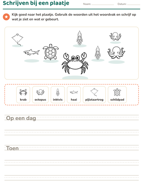 Voorbeeld van het Schrijven bij een plaatje-werkblad met Zeeleven ZW voor groep 4