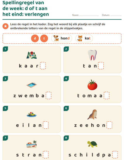Voorbeeld van het Spellingregels-werkblad voor groep 4