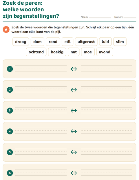 Voorbeeld van het Tegenstellingen-werkblad voor groep 3
