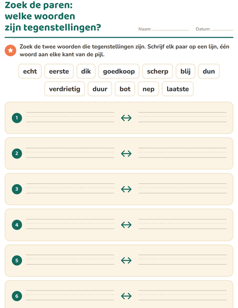 Voorbeeld van het Tegenstellingen-werkblad voor groep 3