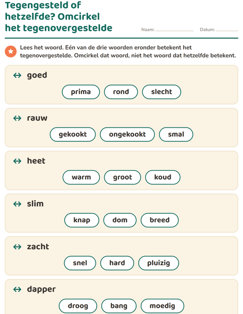 Voorbeeld van het Tegenstellingen-werkblad voor groep 3