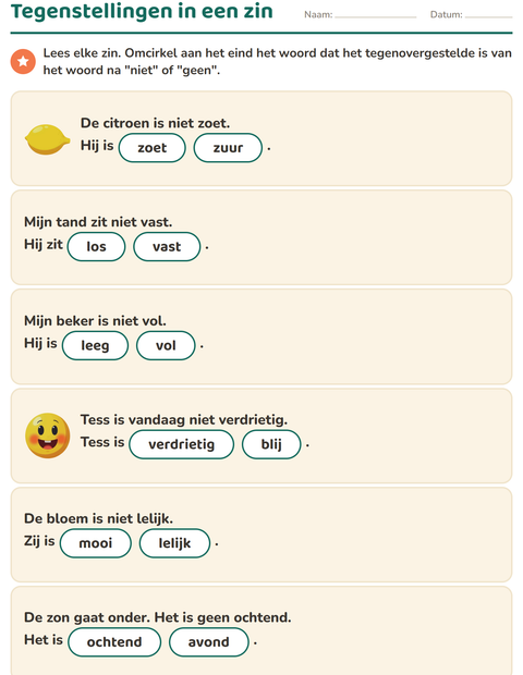 Voorbeeld van het Tegenstellingen-werkblad voor groep 3