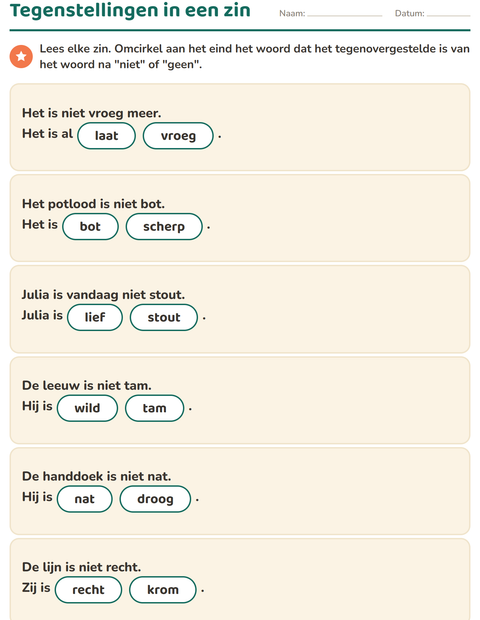Voorbeeld van het Tegenstellingen-werkblad voor groep 3