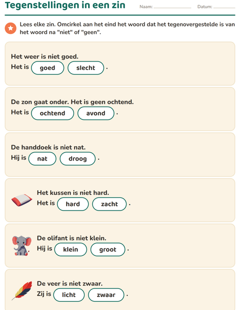 Voorbeeld van het Tegenstellingen-werkblad voor groep 3