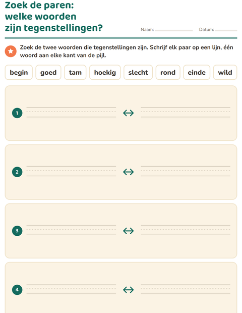 Voorbeeld van het Tegenstellingen-werkblad voor groep 3