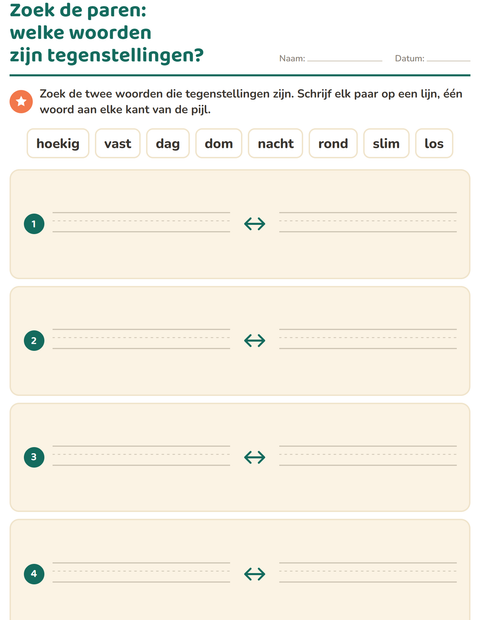 Voorbeeld van het Tegenstellingen-werkblad voor groep 3