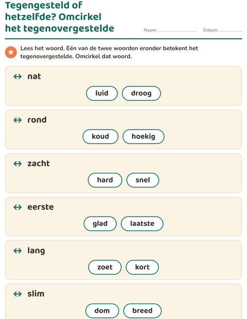 Voorbeeld van het Tegenstellingen-werkblad voor groep 3