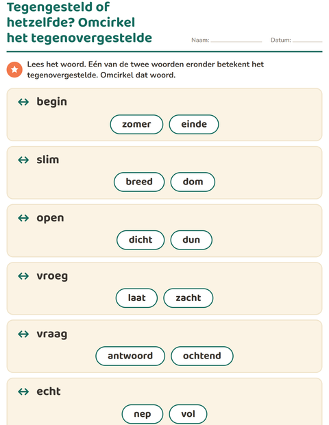 Voorbeeld van het Tegenstellingen-werkblad voor groep 3