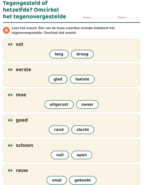 Voorbeeld van het Tegenstellingen-werkblad voor groep 3