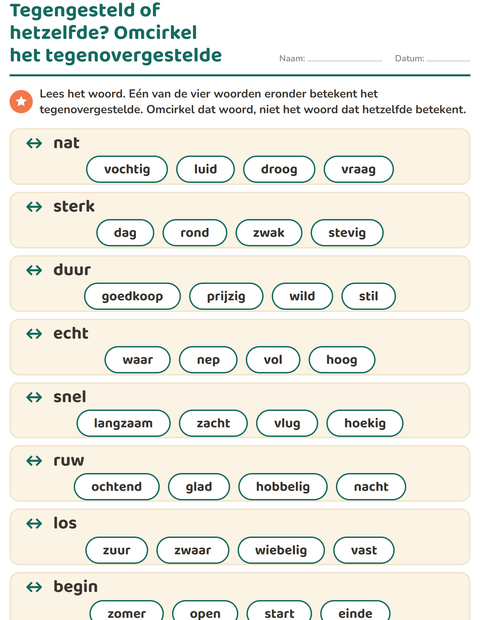 Voorbeeld van het Tegenstellingen-werkblad voor groep 3