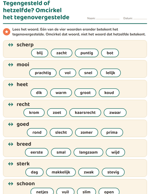 Voorbeeld van het Tegenstellingen-werkblad voor groep 3