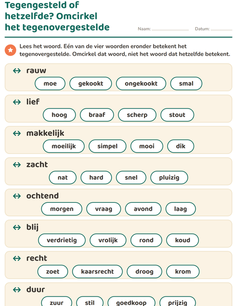 Voorbeeld van het Tegenstellingen-werkblad voor groep 3