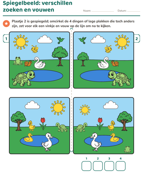 Voorbeeld van het Verschillen zoeken-werkblad voor groep 3