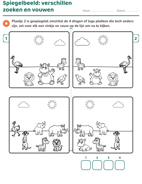 Voorbeeld van het Verschillen zoeken-werkblad voor groep 3