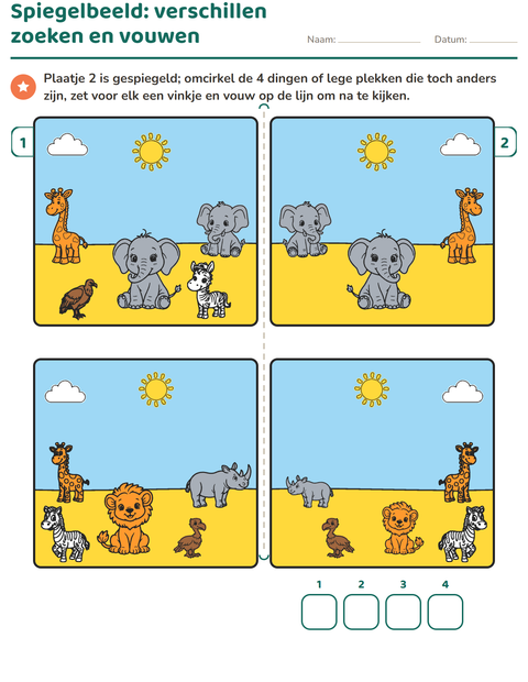 Voorbeeld van het Verschillen zoeken-werkblad voor groep 3