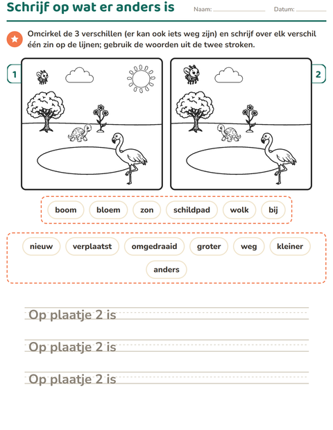 Voorbeeld van het Verschillen zoeken-werkblad voor groep 4