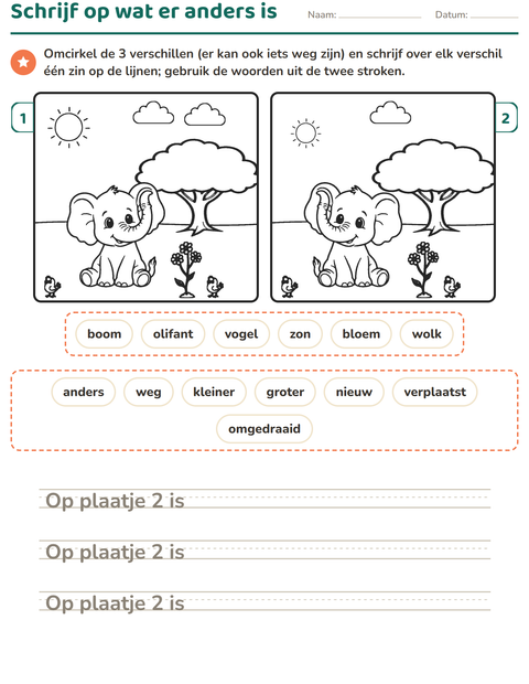 Voorbeeld van het Verschillen zoeken-werkblad voor groep 4