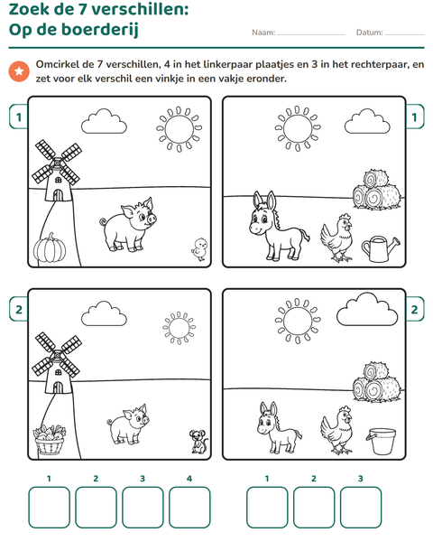 Voorbeeld van het Verschillen zoeken-werkblad voor groep 3