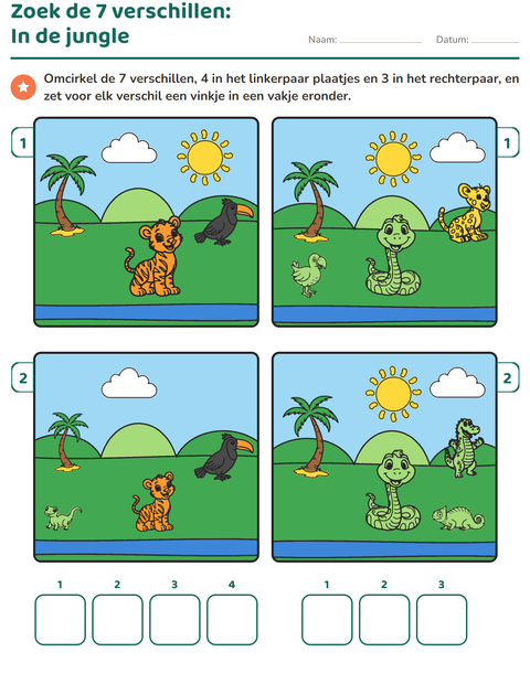 Voorbeeld van het Verschillen zoeken-werkblad voor groep 3