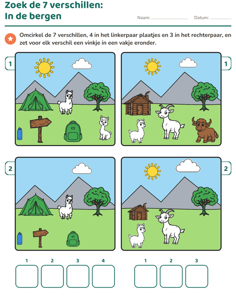 Voorbeeld van het Verschillen zoeken-werkblad voor groep 3