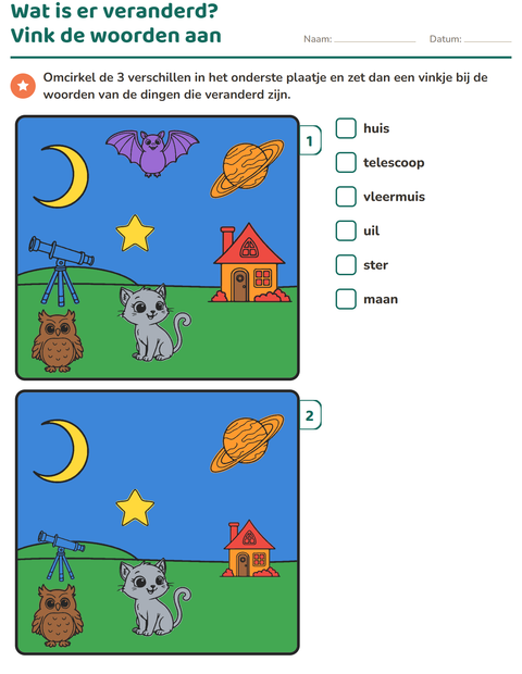 Voorbeeld van het Verschillen zoeken-werkblad voor groep 3