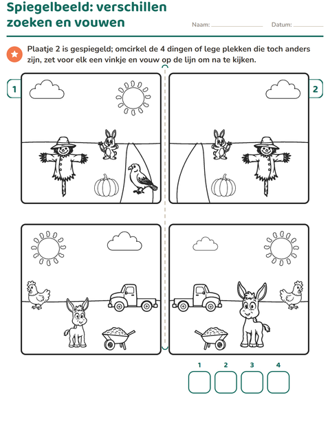 Voorbeeld van het Verschillen zoeken-werkblad voor groep 3