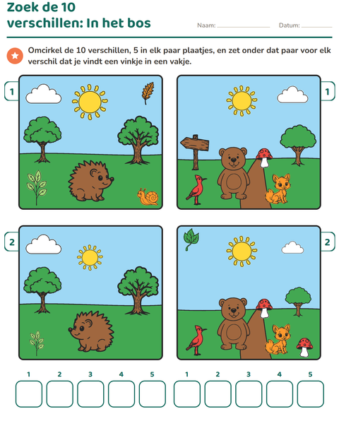 Voorbeeld van het Verschillen zoeken-werkblad voor groep 4