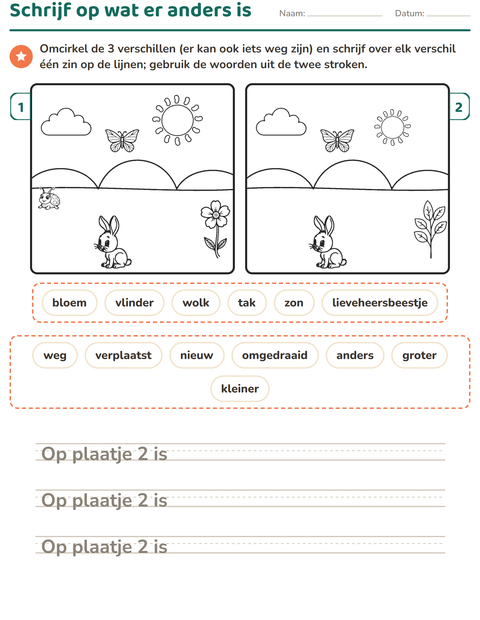 Voorbeeld van het Verschillen zoeken-werkblad voor groep 4