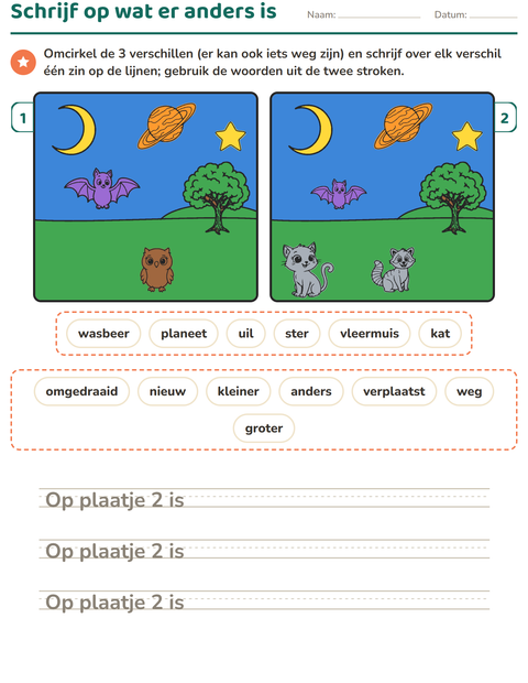 Voorbeeld van het Verschillen zoeken-werkblad voor groep 4