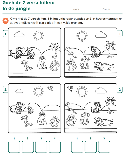 Voorbeeld van het Verschillen zoeken-werkblad voor groep 3