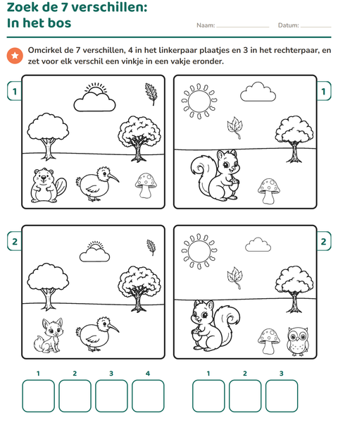 Voorbeeld van het Verschillen zoeken-werkblad voor groep 3