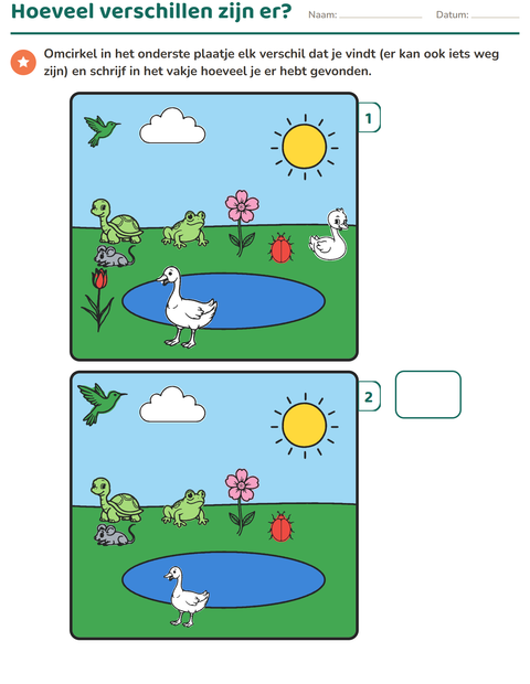 Voorbeeld van het Verschillen zoeken-werkblad voor groep 3