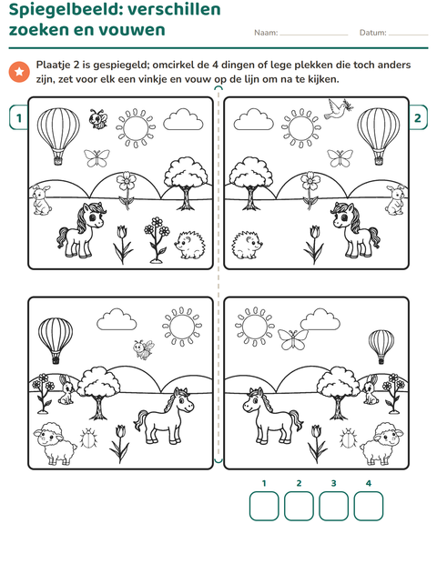 Voorbeeld van het Verschillen zoeken-werkblad voor groep 3