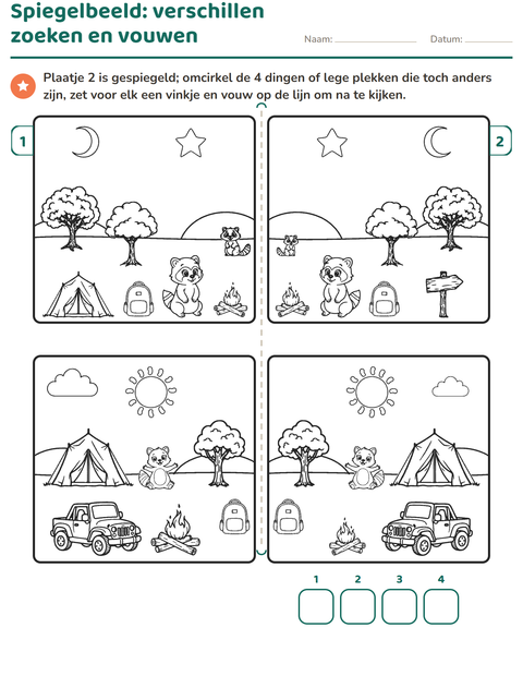 Voorbeeld van het Verschillen zoeken-werkblad voor groep 3