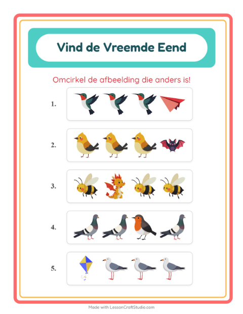 Welke hoort er niet bij – Dingen die vliegen