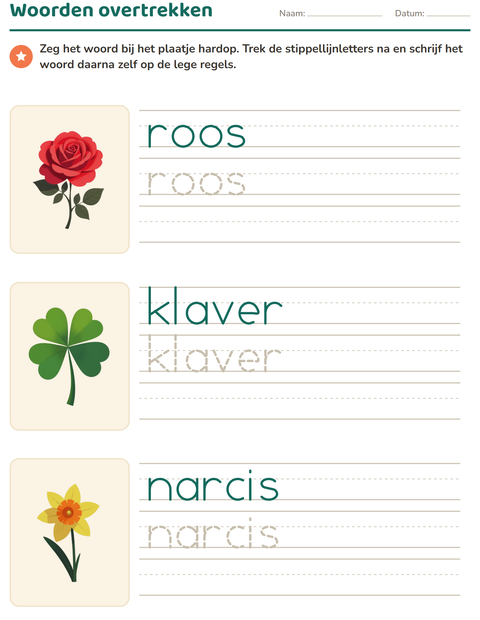 Voorbeeld van het Woorden overtrekken-werkblad met Bloemen voor kleuterklas