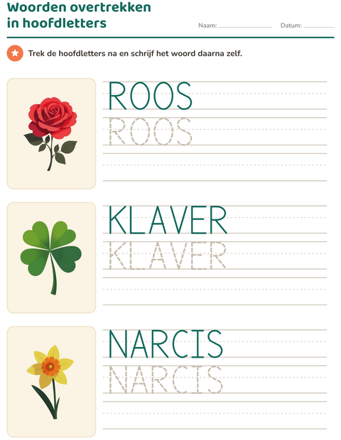 Voorbeeld van het Woorden overtrekken-werkblad met Bloemen voor kleuterklas