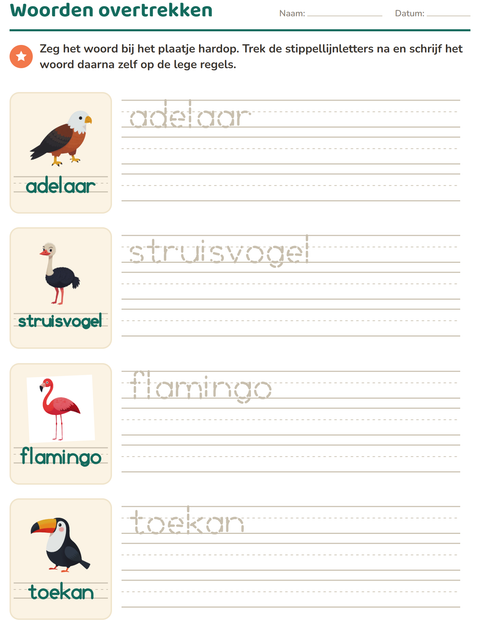 Voorbeeld van het Woorden overtrekken-werkblad met Vogels voor kleuterklas