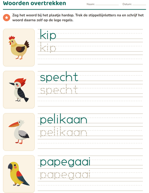 Voorbeeld van het Woorden overtrekken-werkblad met Vogels 2 voor kleuterklas