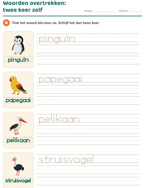 Voorbeeld van het Woorden overtrekken-werkblad met Vogels voor kleuterklas