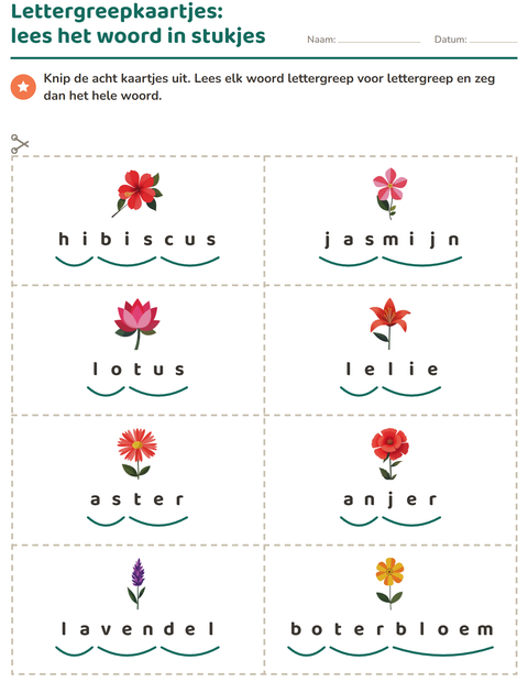 Voorbeeld van het Woordkaartjes-werkblad met Bloemen voor groep 3