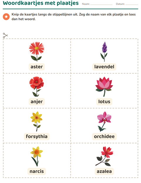 Voorbeeld van het Woordkaartjes-werkblad met Bloemen voor kleuterklas