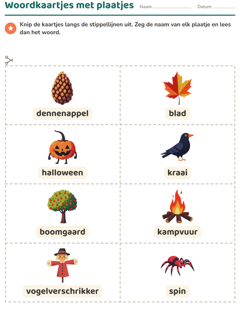 Voorbeeld van het Woordkaartjes-werkblad met Diversen voor kleuterklas