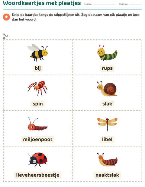 Voorbeeld van het Woordkaartjes-werkblad met Insecten en beestjes voor kleuterklas