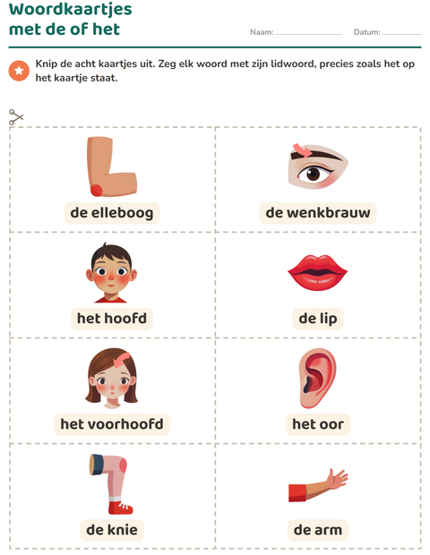 Voorbeeld van het Woordkaartjes-werkblad met Lichaamsdelen voor kleuterklas