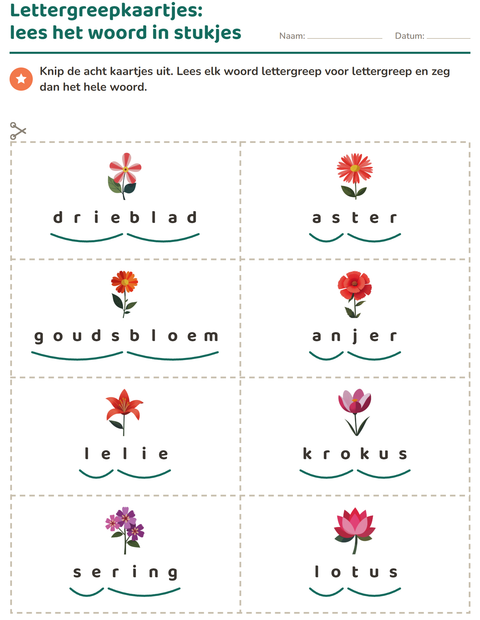 Voorbeeld van het Woordkaartjes-werkblad met Bloemen voor groep 3