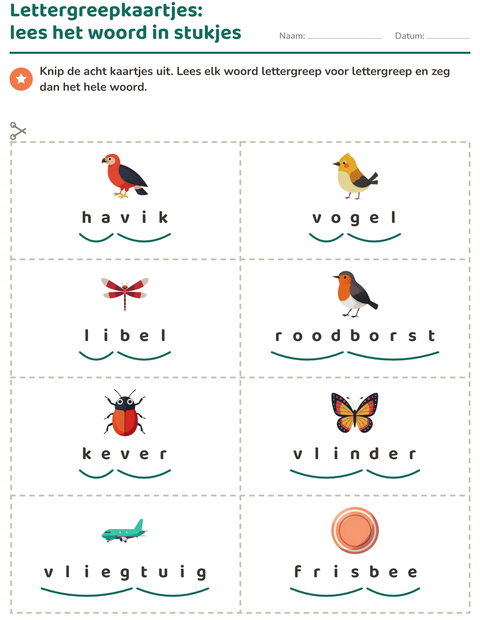 Voorbeeld van het Woordkaartjes-werkblad met Dingen die vliegen voor groep 3
