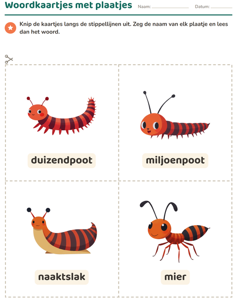 Voorbeeld van het Woordkaartjes-werkblad met Insecten en beestjes voor kleuterklas