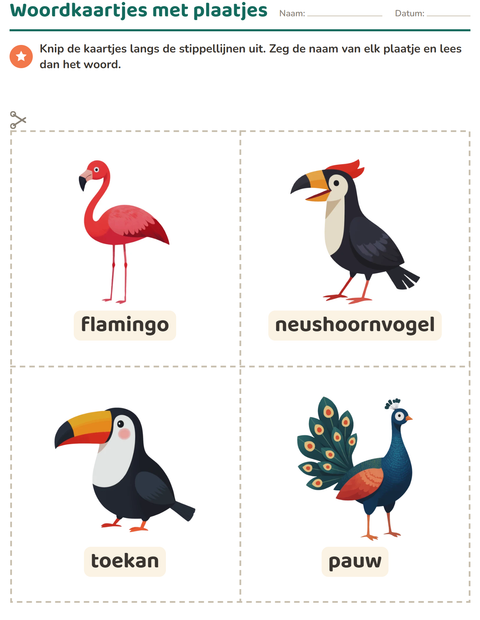Voorbeeld van het Woordkaartjes-werkblad met Vogels voor kleuterklas