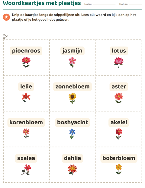 Voorbeeld van het Woordkaartjes-werkblad met Bloemen voor kleuterklas